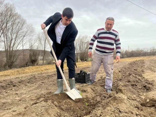 Dumlupınar’da böğürtlen fideleri toprakla buluşturuldu
