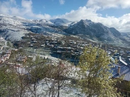 Dutun merkezini don vurdu
