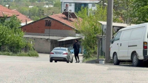 Duyarlı sürücü ,kaplumbağaları kurtardı