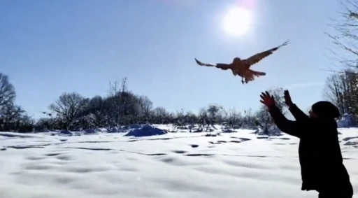 D&uuml;zce&rsquo;de 211 yaban hayvanı doğaya salındı
