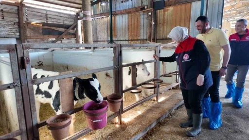 D&uuml;zce&rsquo;de ari işletme sayısı artıyor
