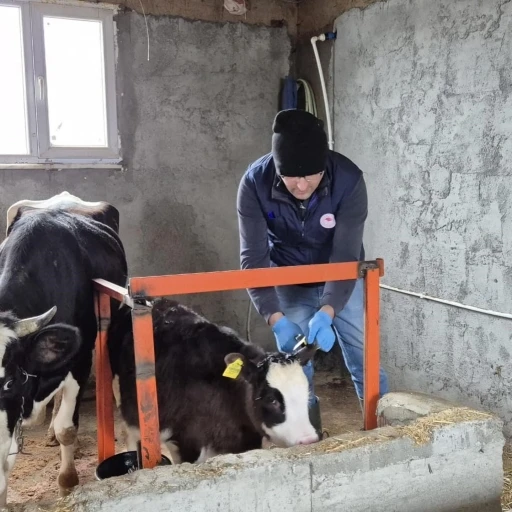 D&uuml;zce&rsquo;de ekipler hayvan sağlığı i&ccedil;in sahada
