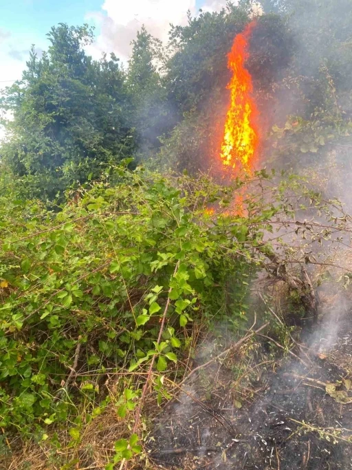 D&uuml;zce&rsquo;de fındıklıkta korkutan yangın
