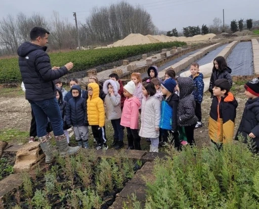 D&uuml;zce&rsquo; de minik eller b&uuml;y&uuml;k ormanlar oluşturmak i&ccedil;in &ccedil;alıştı
