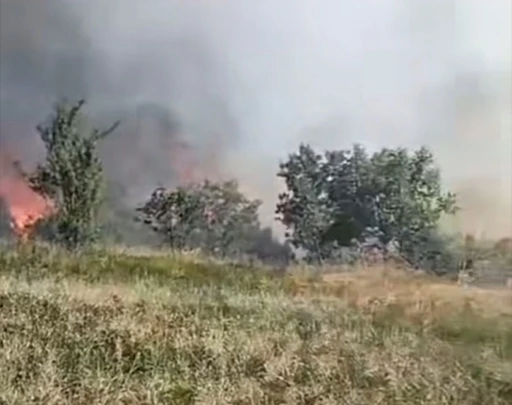 Düzce’de orman yangını: 5 hektarlık alan küle döndü
