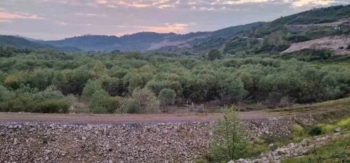 D&uuml;zce&rsquo;de rafting botundan d&uuml;şen kadının cansız bedeni Sakarya&rsquo;da bulundu
