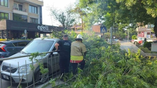 D&uuml;zce&rsquo;de &uuml;zerine ağa&ccedil; devrilen araca "hatalı park" cezası
