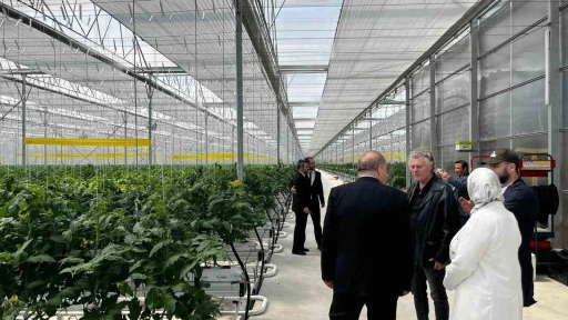 D&uuml;zce&rsquo;den Seracılık İhtisas Organize Tarım B&ouml;lgesi&rsquo;nde inceleme
