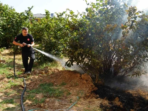 D&uuml;zce İtfaiyesi 3 ayda 300 anız yangınına m&uuml;dahale etti
