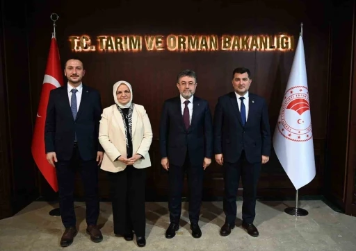 D&uuml;zce&rsquo;nin tarımı, taşkın riski ve DSİ yatırımları g&ouml;r&uuml;ş&uuml;ld&uuml;
