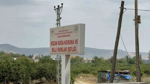 Ebabil kuşunu esnaf hayatta tutmaya çalıştı
