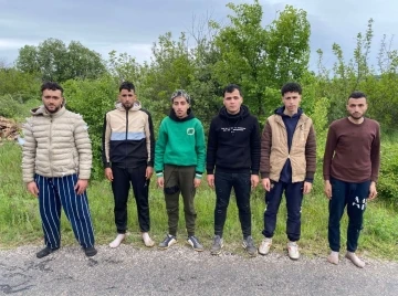 Edirne’de 6 kaçak göçmen jandarmadan kaçamadı
