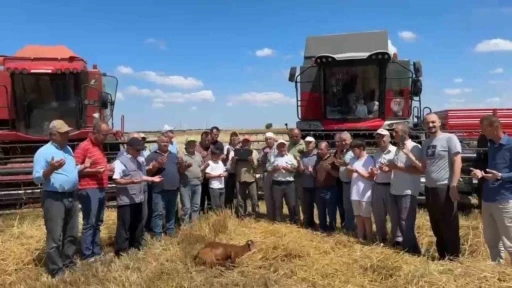 Edirne&rsquo;de buğday hasadı dualarla başladı
