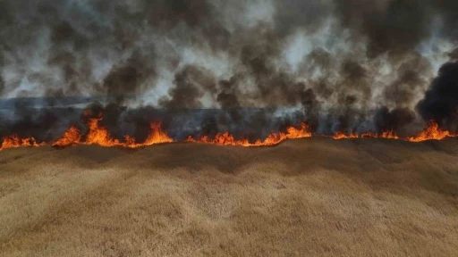 Edirne&rsquo;de &ccedil;ift&ccedil;inin bir yıllık emeği k&uuml;le d&ouml;nd&uuml;
