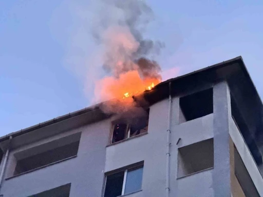 Edirne&rsquo;de dairede &ccedil;ıkan yangın &ccedil;atıya  sı&ccedil;radı
