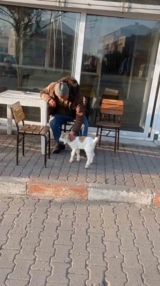 Edirne&rsquo;de de "ke&ccedil;i ile alışveriş" keyfi
