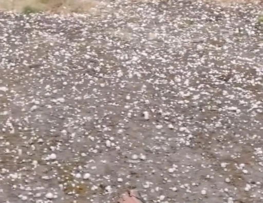 Edirne’de dolu yağışı etkili oldu
