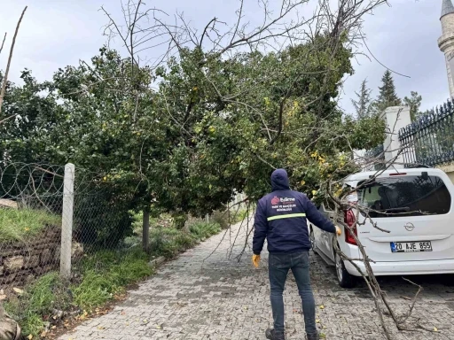 Edirne&rsquo;de fırtına ağa&ccedil;ları devirdi
