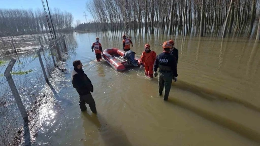 Edirne&rsquo;de koyunlar botlarla kurtarıldı
