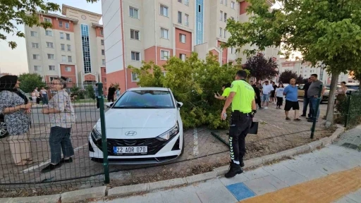 Edirne’de seyir halindeki ticari araç site bahçesine girdi
