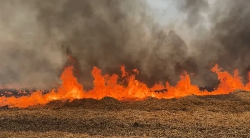 Edirne&rsquo;de tarla yangını
