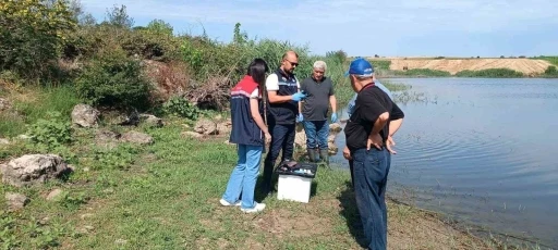 Edirne&rsquo;de toplu balık &ouml;l&uuml;mlerinin yaşandığı g&ouml;letten numune alındı
