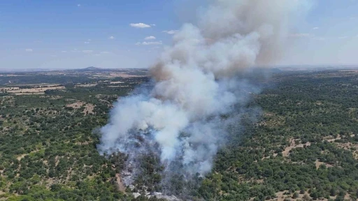 Edirne’deki orman yangını kontrol altına alındı

