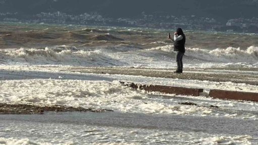 Edremit&rsquo;te lodos sahili k&ouml;p&uuml;kle kapladı
