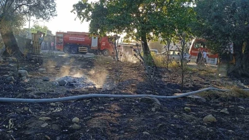 Edremit’te yangında 123 zeytin ağacı alev alev yandı
