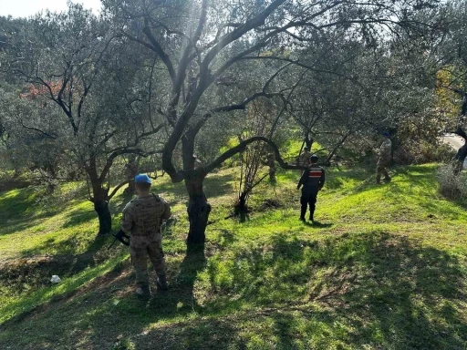 Edremit’te zeytin hırsızlığına karşı komandolar sahada
