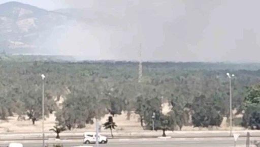 Edremit’te zeytinlik alanda yangın başladı

