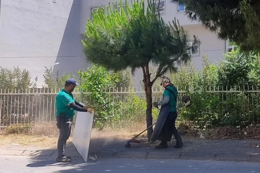Efeler&rsquo;in park ve yeşil alanlarında d&uuml;zenleme &ccedil;alışmaları s&uuml;r&uuml;yor
