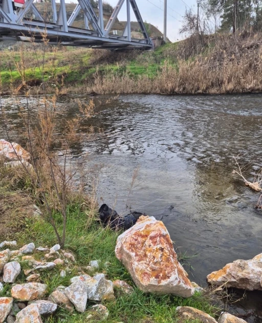 Ege Ekspresi&rsquo;nin &ccedil;arptığı yaya hayatını kaybetti
