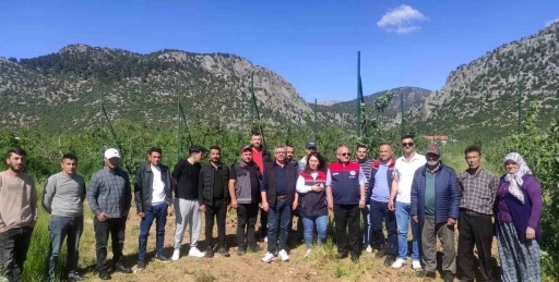 Eğirdir&rsquo;de budama ve aşılama kursuna yoğun ilgi
