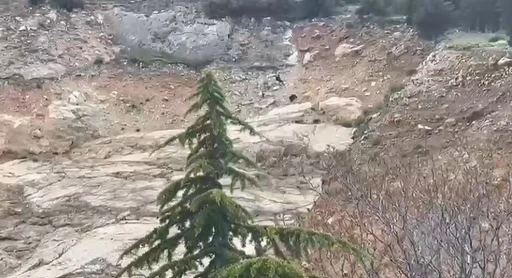 Eğirdir&rsquo;de tırmandıkları kayalıklarda mahsur kalan &ccedil;ocuklar kurtarıldı
