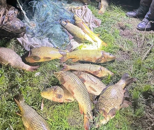 Eğirdir G&ouml;l&uuml;&rsquo;nde ka&ccedil;ak avcılara su&ccedil;&uuml;st&uuml;: 100 kilo sazan yeniden g&ouml;le bırakıldı
