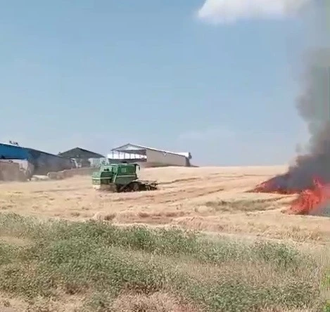 Ekili alanlar cayır cayır yandı
