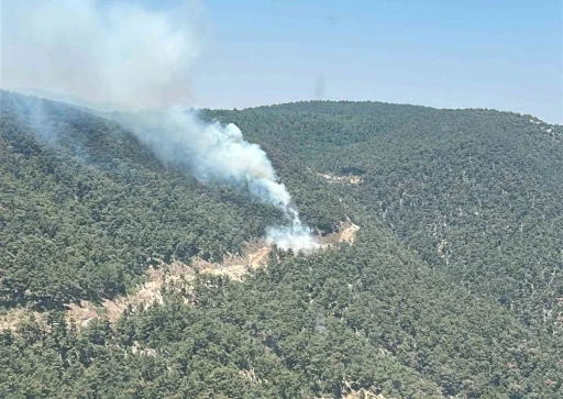 Ekipler orman yangını için seferber oldu
