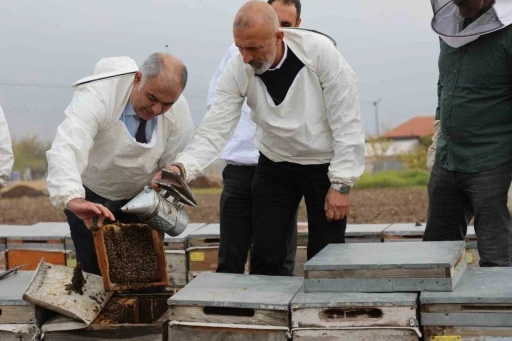 Elazığ arı kovanları incelendi
