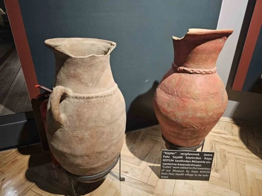 Asırlık k&uuml;pler ge&ccedil;mişe ışık tutuyor