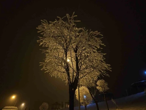 Elazığ&rsquo;da ağa&ccedil;lar kırağı tuttu
