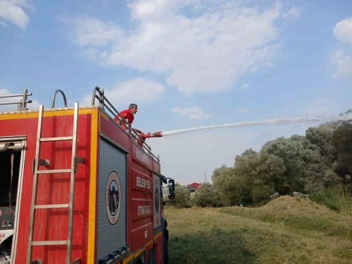 Elazığ’da ağaçlık alanda çıkan yangın ekipler tarafından  söndürüldü
