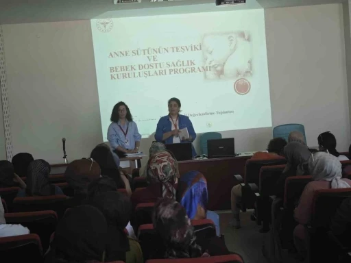 Elazığ&rsquo;da anne s&uuml;t&uuml;n&uuml;n teşviki programı
