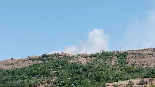 Elazığ&rsquo;da arazi yangını
