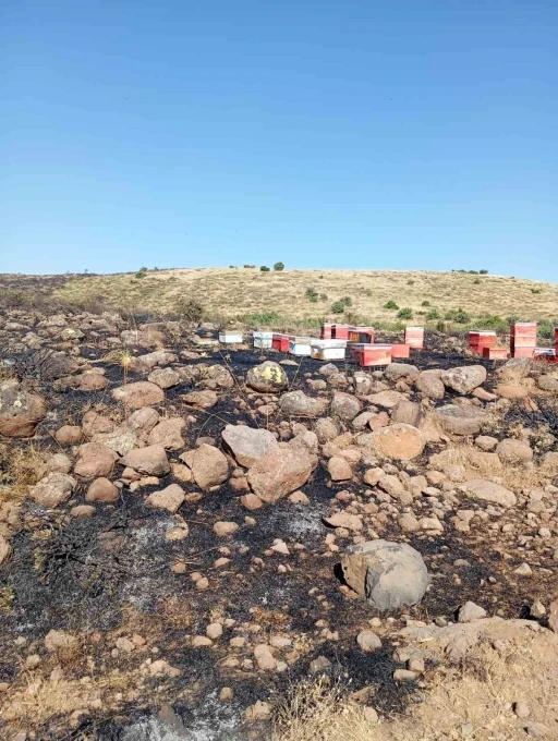 Elazığ&rsquo;da arazi yangını: Arı kovanları zarar g&ouml;rd&uuml;
