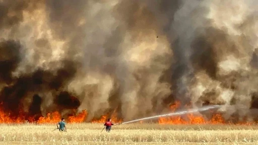Elazığ’da arazi yangını: Ekili alanlar da küle döndü
