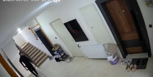Elazığ’da bayramda ayakkabı hırsızlığı: Gündüz keşif yapıp gece kapının önündeki botu çaldı
