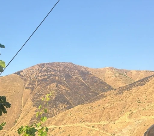 Elazığ&rsquo;da dağlık alanda &ccedil;ıkan yangın s&ouml;nd&uuml;r&uuml;ld&uuml;
