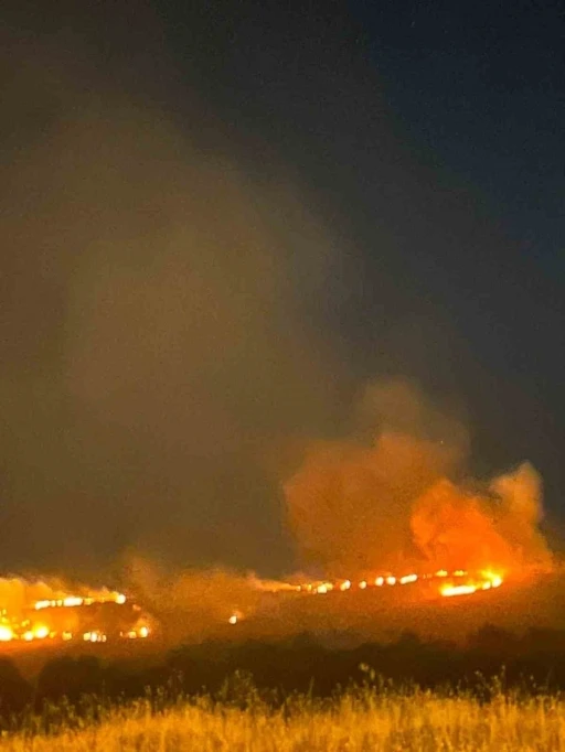 Elazığ&rsquo;da dağlık alanda yangın paniği
