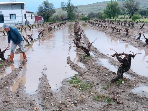 Elazığ&rsquo;da dolu yağışı sonrası hasar tespit &ccedil;alışması
